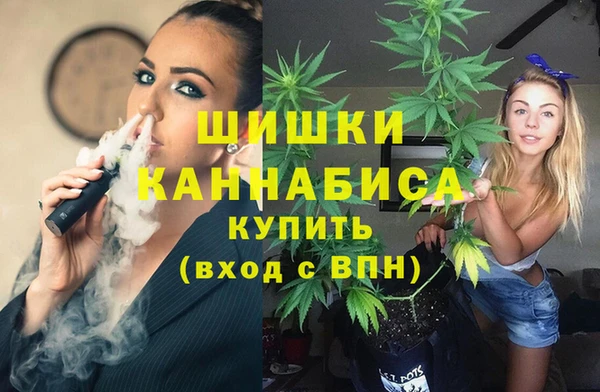 ПСИЛОЦИБИНОВЫЕ ГРИБЫ Заволжье