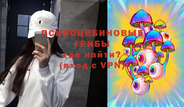 ПСИЛОЦИБИНОВЫЕ ГРИБЫ Заволжье