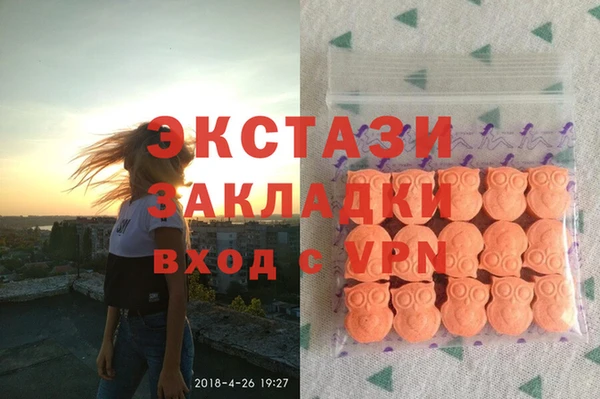 хмурый Няндома