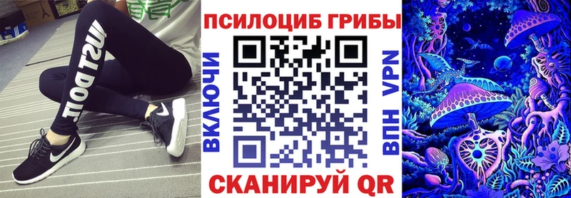 Псилоцибиновые грибы Cubensis  Куртамыш 